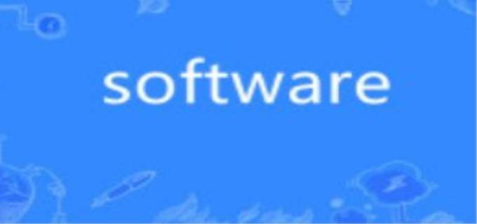 software是什么意思